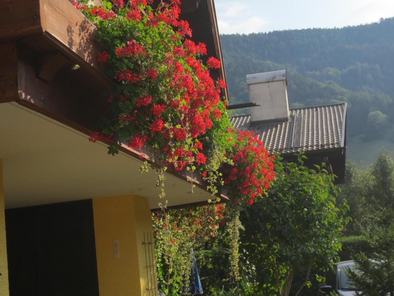 Hotel Alp Inn - Chiemgaukarte Inclusive Ruhpolding Exterior photo